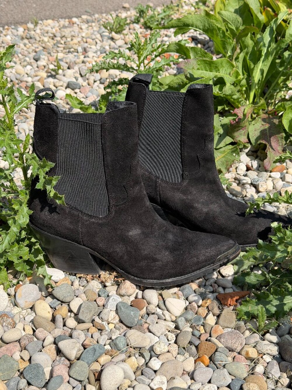 Ariat Shiloh Western Boot